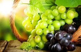 Виноград культурный Виноград культурный