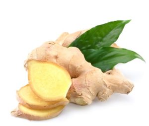 Имбирь лекарственный