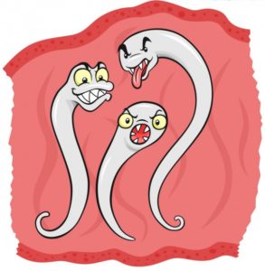 Паразиты в кишечнике