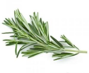 Розмарин