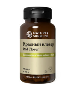 Красный клевер NSP — гормональный баланс и очищение организма от токсинов